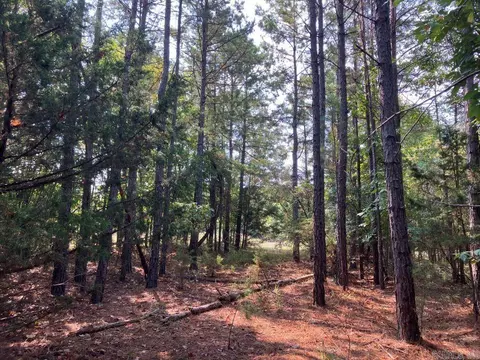tbd Tract 1 Thompson Creek Lane Ln, Mena, AR 71953 photo 10