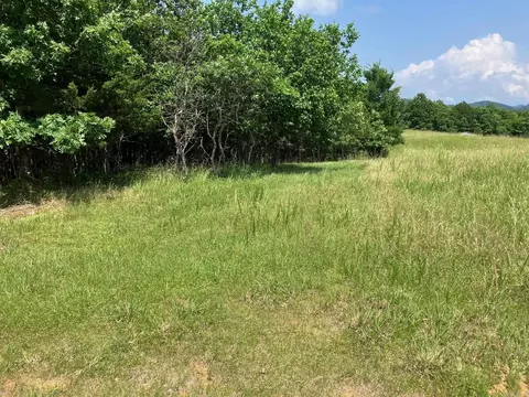 tbd Tract 4 Thompson Creek Lane Ln, Mena, AR 71953 photo 2