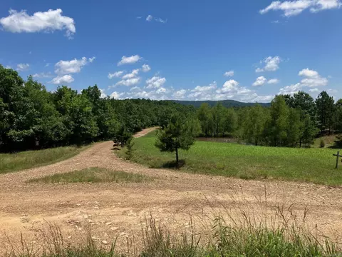 tbd Tract 4 Thompson Creek Lane Ln, Mena, AR 71953 photo 19