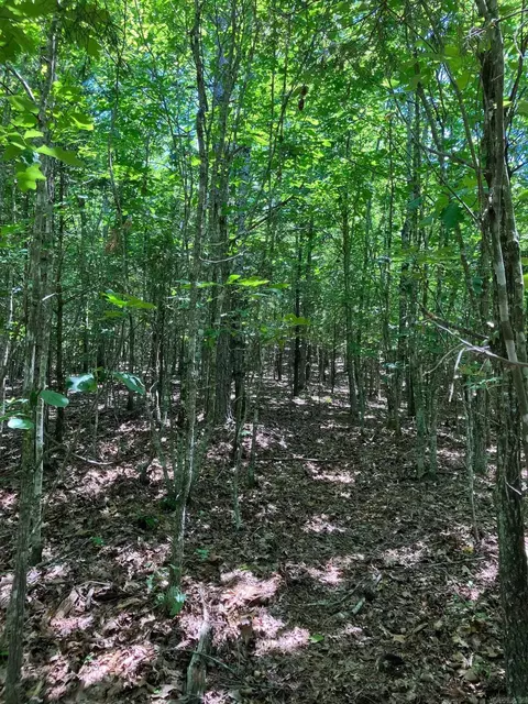 tbd Tract 4 Thompson Creek Lane Ln, Mena, AR 71953 photo 9