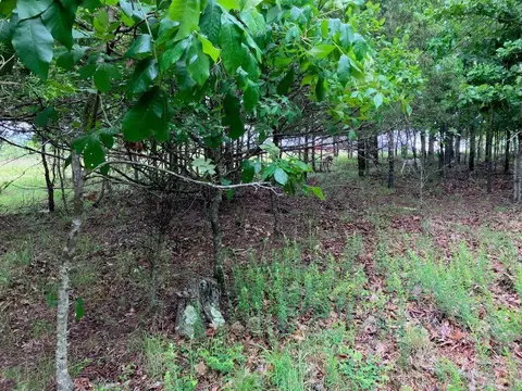 tbd Tract 4 Thompson Creek Lane Ln, Mena, AR 71953 photo 28