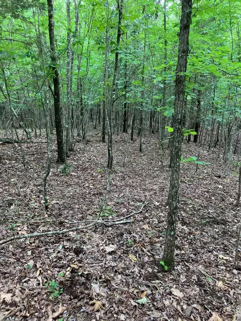 tbd Tract 4 Thompson Creek Lane Ln, Mena, AR 71953 photo 10