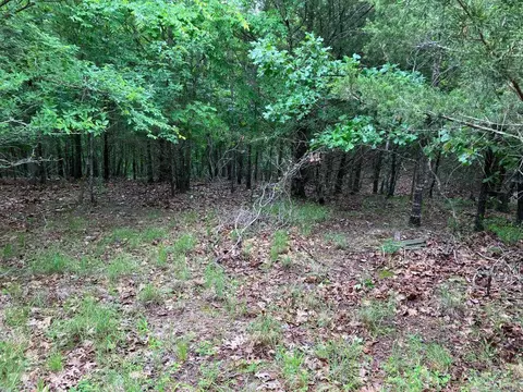 tbd Tract 4 Thompson Creek Lane Ln, Mena, AR 71953 photo 27