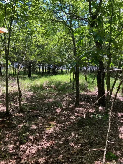 tbd Tract 4 Thompson Creek Lane Ln, Mena, AR 71953 photo 20