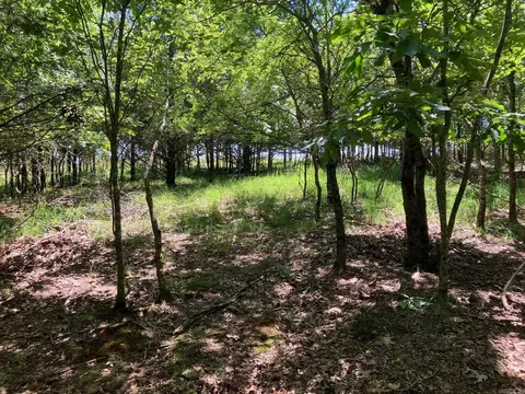 tbd Tract 4 Thompson Creek Lane Ln, Mena, AR 71953 photo 21