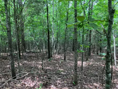 tbd Tract 4 Thompson Creek Lane Ln, Mena, AR 71953 photo 6