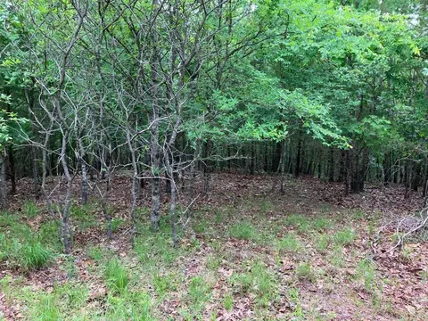 tbd Tract 4 Thompson Creek Lane Ln, Mena, AR 71953 photo 17