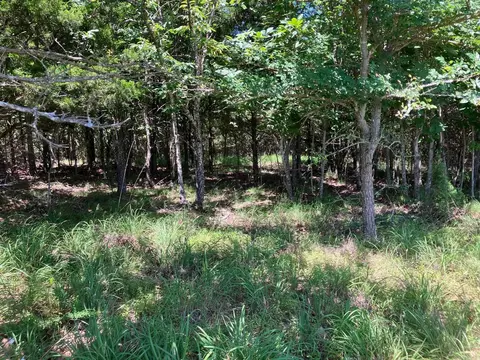 tbd Tract 4 Thompson Creek Lane Ln, Mena, AR 71953 photo 26