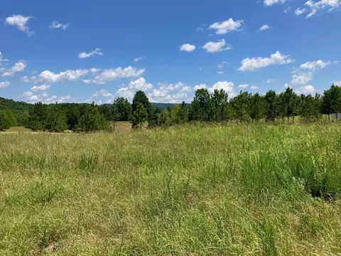 tbd Tract 4 Thompson Creek Lane Ln, Mena, AR 71953 photo 23