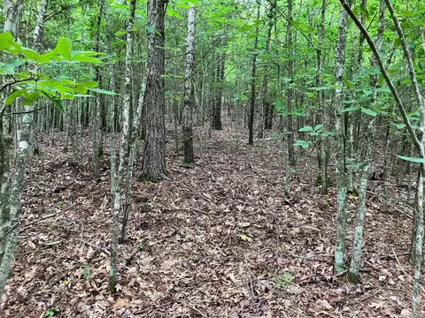 tbd Tract 4 Thompson Creek Lane Ln, Mena, AR 71953 photo 11