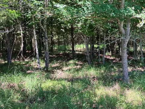 tbd Tract 4 Thompson Creek Lane Ln, Mena, AR 71953 photo 25