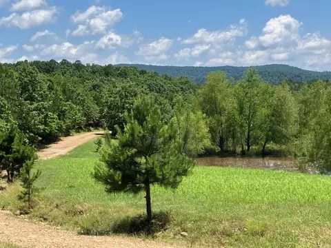 tbd Tract 4 Thompson Creek Lane Ln, Mena, AR 71953 photo 3