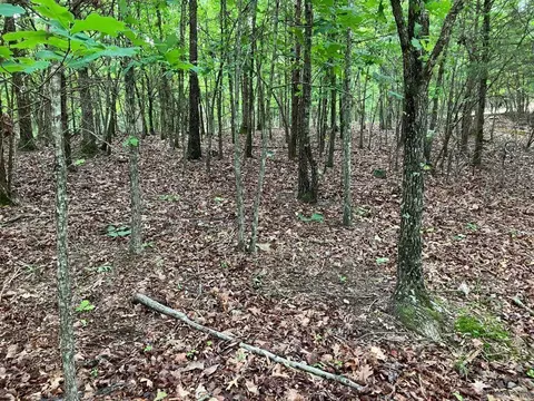 tbd Tract 4 Thompson Creek Lane Ln, Mena, AR 71953 photo 16