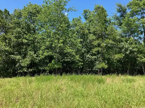 tbd Tract 4 Thompson Creek Lane Ln, Mena, AR 71953 photo 18