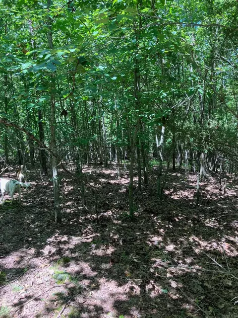 tbd Tract 4 Thompson Creek Lane Ln, Mena, AR 71953 photo 22
