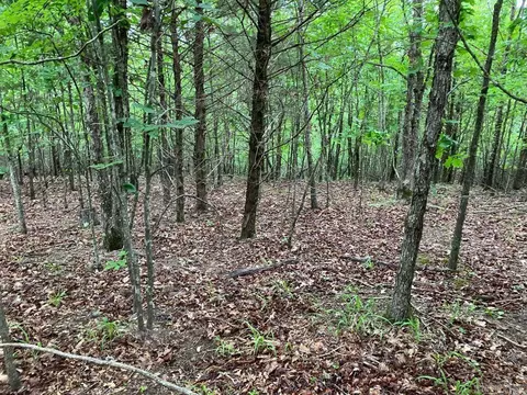 tbd Tract 4 Thompson Creek Lane Ln, Mena, AR 71953 photo 14