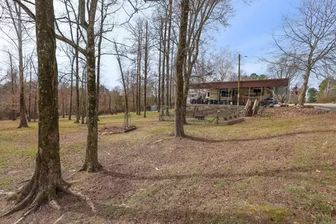 9 Bear Crk, Amity, AR 71921 photo 41