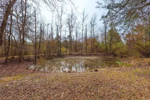 9 Bear Crk, Amity, AR 71921 photo 22