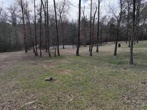 9 Bear Crk, Amity, AR 71921 photo 44
