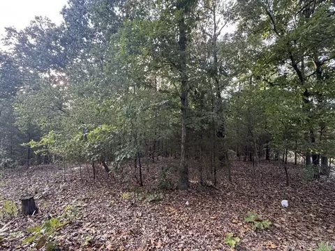 319 Bruce Mitchell Rd, Ravenden Springs, AR 72460
