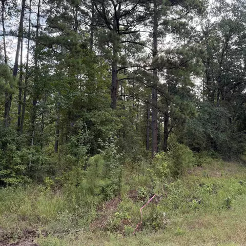 lot1 County Rd 8, Sheridan, AR 72150
