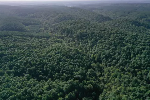 0000 Baker Rd, Grannis, AR 71944 photo 13