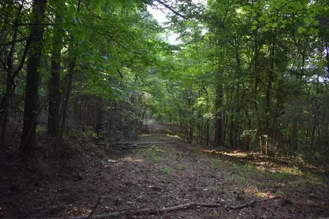 0000 Baker Rd, Grannis, AR 71944 photo 25