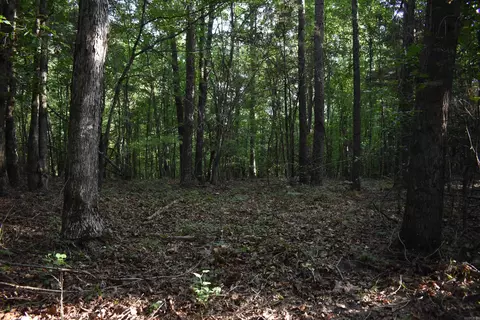 0000 Baker Rd, Grannis, AR 71944 photo 18
