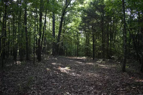 0000 Baker Rd, Grannis, AR 71944 photo 21