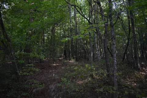 0000 Baker Rd, Grannis, AR 71944 photo 26