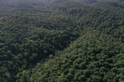 0000 Baker Rd, Grannis, AR 71944 photo 3