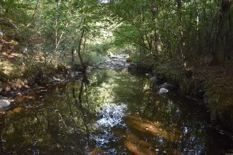0000 Baker Rd, Grannis, AR 71944 photo 33