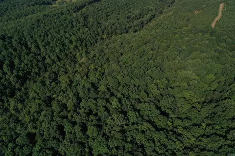 0000 Baker Rd, Grannis, AR 71944 photo 12
