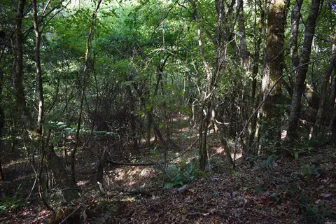 0000 Baker Rd, Grannis, AR 71944 photo 36