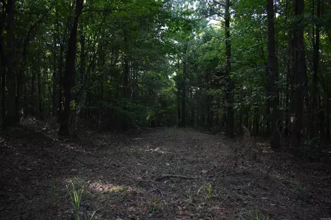 0000 Baker Rd, Grannis, AR 71944 photo 17