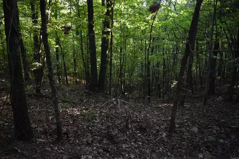 0000 Baker Rd, Grannis, AR 71944 photo 20