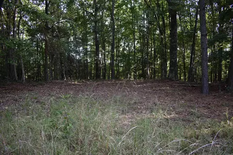 0000 Baker Rd, Grannis, AR 71944 photo 40