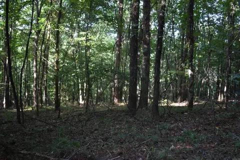 0000 Baker Rd, Grannis, AR 71944 photo 38