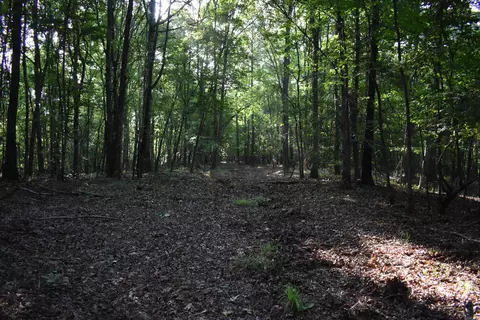 0000 Baker Rd, Grannis, AR 71944 photo 19