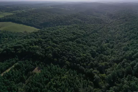 0000 Baker Rd, Grannis, AR 71944 photo 16