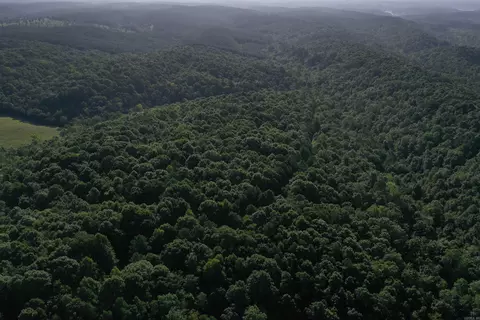 0000 Baker Rd, Grannis, AR 71944 photo 15