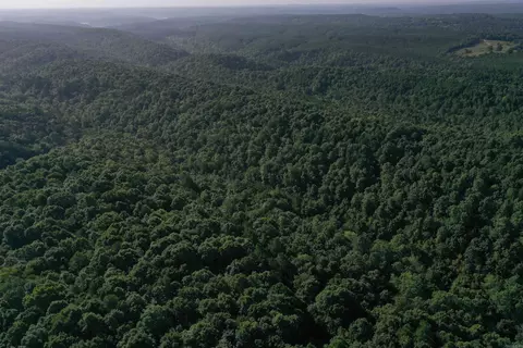 0000 Baker Rd, Grannis, AR 71944 photo 14
