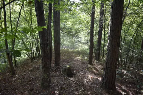 0000 Baker Rd, Grannis, AR 71944 photo 34