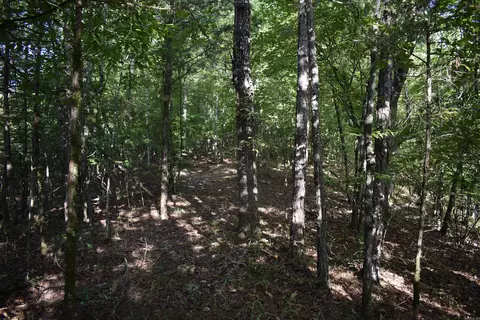 0000 Baker Rd, Grannis, AR 71944 photo 35