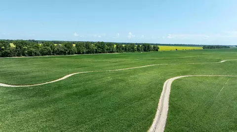County Road 136, Hickory Ridge, AR 72347