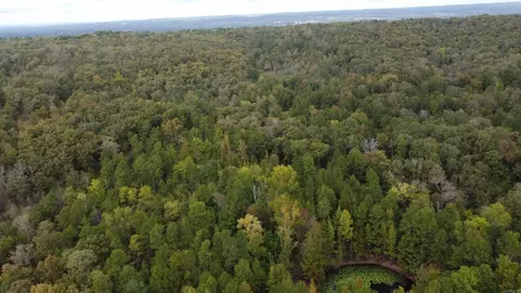 00 Heath Ln, Greenbrier, AR 72058 photo 5