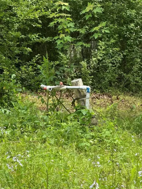 422 Hwy 16 W, Clinton, AR 72031 photo 3