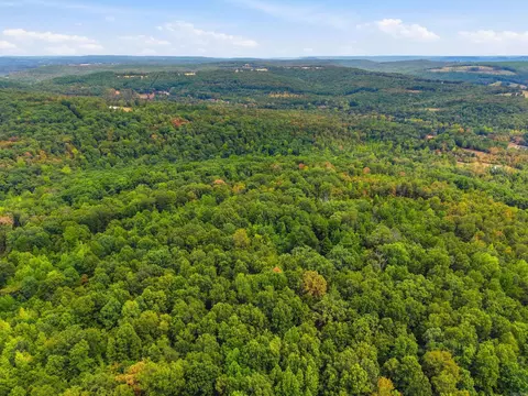 00 Oakland Rd, Clinton, AR 72031 photo 22