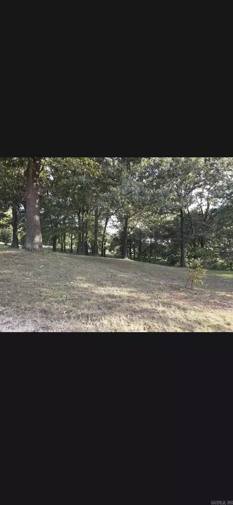 1200 York Dr, Harrison, AR 72601 photo 33
