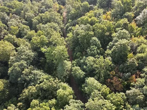Na, Mountain View, AR 72560 photo 11
